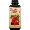 Strawberry Focus 500ml